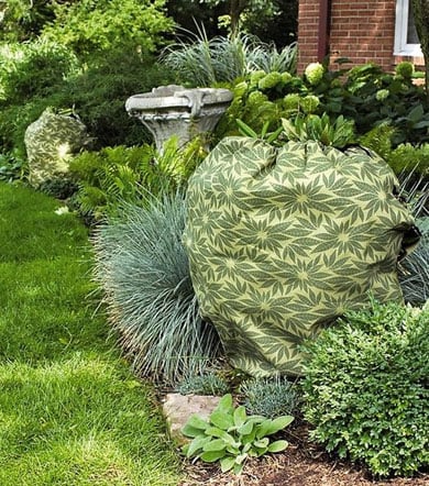 Wraps that protect shrubs from winter damage