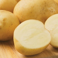 Elba potato
