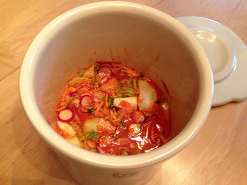 ohio stoneware fermentation crock filled with kimchi ingredients 