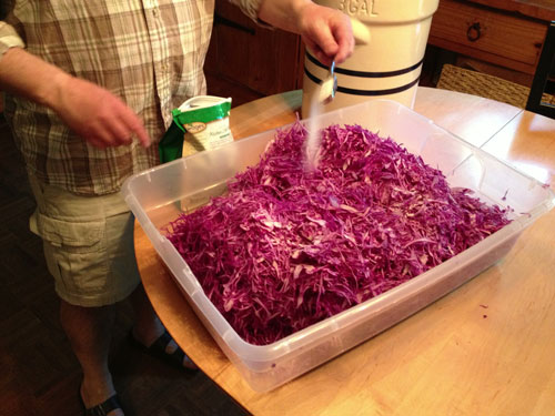 sprinkling salt on shredded cabbage 