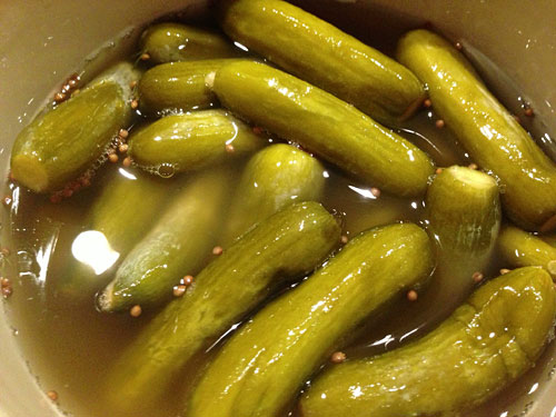 fully fermented pickles in an Ohio Stoneware pickling crock