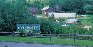 Our Backyard: The Intervale