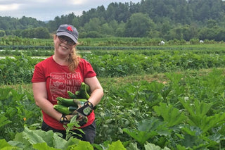 Gleaning: an Ancient Idea for Modern Times