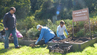 Company Farm