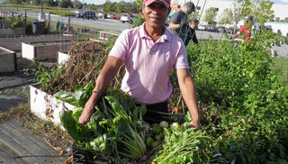 Fighting Hunger