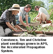 Gardening With the Young at Heart
