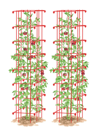  || https://assets.gardeners.com/transform/a051e0ac-bab0-4b73-8a13-b8afa03fc3d8/8587041_TomatoTower-tif