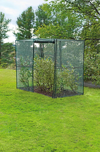  || https://assets.gardeners.com/transform/a3a0d851-f1c0-4a93-8b42-e55148937914/8589160_002-tif