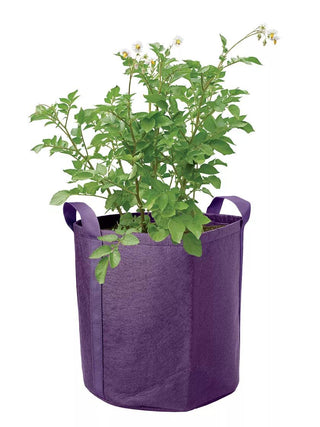  || https://assets.gardeners.com/transform/6adcf7ca-1d65-4648-956e-fdf4c4e6333d/8589785_003S_3-4