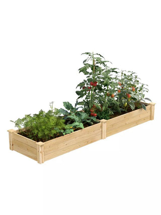  || https://assets.gardeners.com/transform/68401954-eadf-4daf-b495-6b775f3782e7/8593768_06V_3-4
