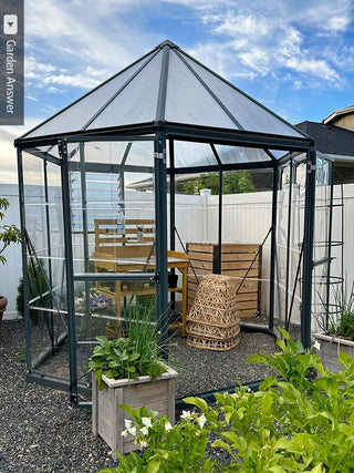  || https://assets.gardeners.com/transform/0ddceb3d-2efd-4c28-b8ad-ee6daf2740c8/8596238_01IN_credit