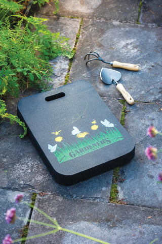  || https://assets.gardeners.com/transform/e48c5f0b-d2d6-4a3d-9aa5-f2cfb4969703/8610302_0144-tif