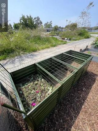  || https://assets.gardeners.com/transform/8e10177e-d602-4dc0-aae8-2c22a289e2bf/8613326_01IN