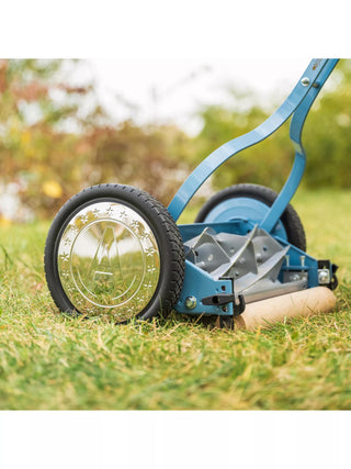  || https://assets.gardeners.com/transform/bde6ca55-7558-4279-8ac9-bd5e2b2dc178/8614581_02V