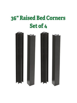  || https://assets.gardeners.com/transform/234d1fa7-b359-4e2a-ba43-88b07f314f8c/8615532_5005