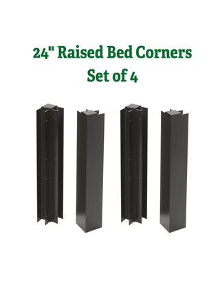  || https://assets.gardeners.com/transform/327d9a35-b976-4cd6-9599-a049a06615b8/8615532_5006