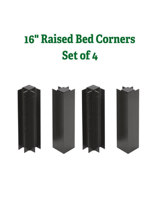  || https://assets.gardeners.com/transform/6afb5dda-52a7-4bba-b556-7b6593ba85c5/8615532_5007