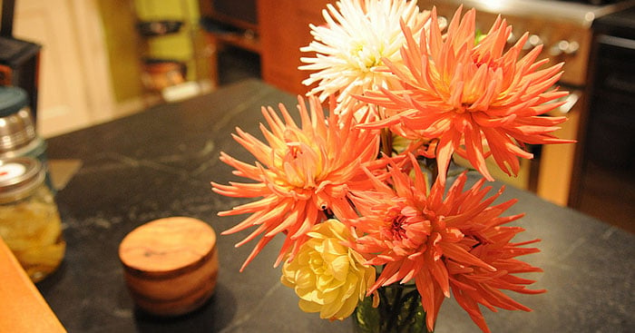 How to Get Dahlias to Last Longer in Bouquets.jpg