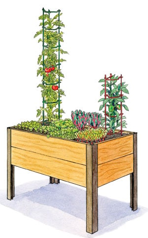 Small-space salad garden