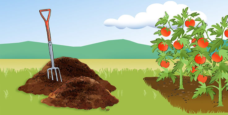 All About Composting: Learn how to compost from Gardener's Supply