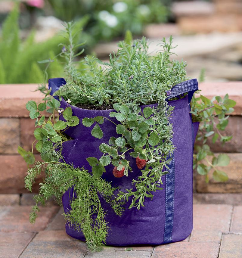 Herb Garden - Growing Herbs | Gardener's Supply