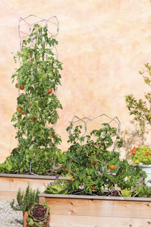Trellis Guide: How to Choose the Best Supports for Climbing Plants |  Gardener's Supply