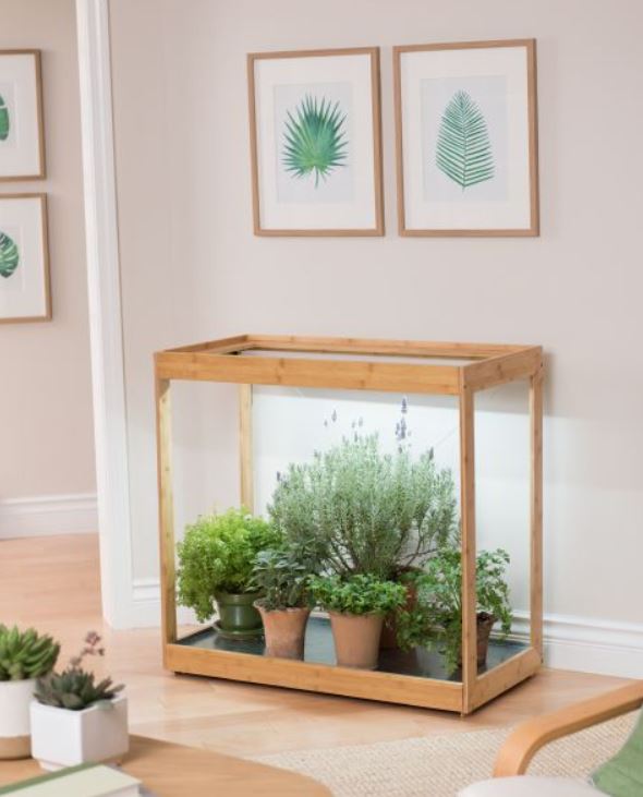 Growing Lavender Plants Indoors | Gardener's Supply