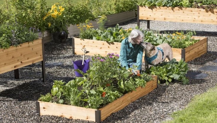 Guide to Raised Beds: Plans, Timing, Tending | Gardener's Supply