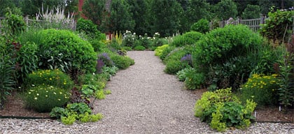 A regular schedule of dividing ensures that a perennial border looks its best