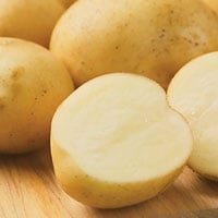 Elba potato