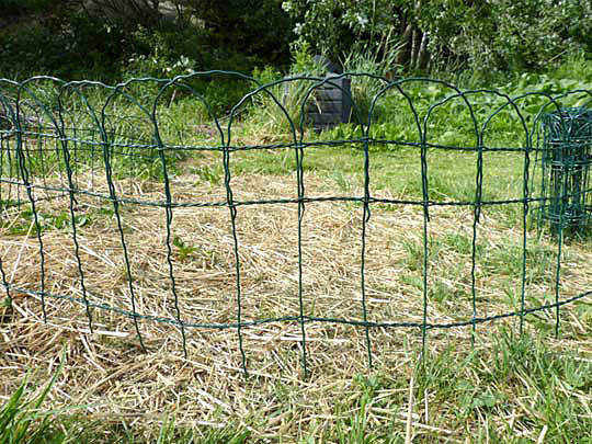 Border fencing in a lawn