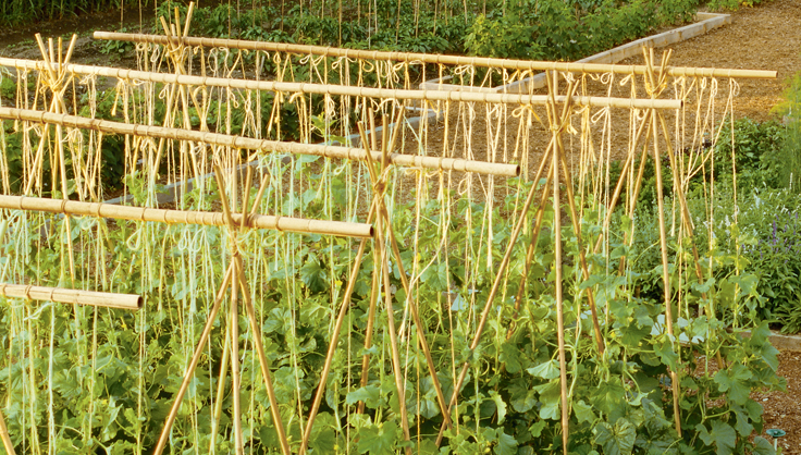 Bamboo Structures for the Garden | Gardener's Supply