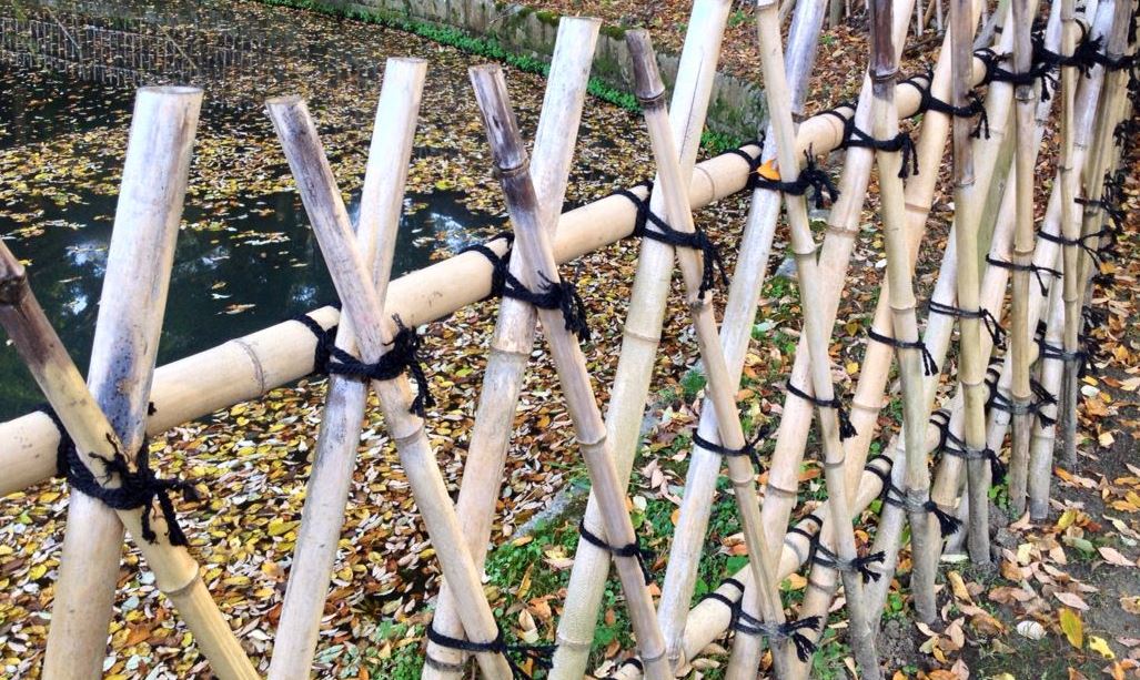 Make Japanese Bamboo Fences & Trellises | Gardener's Supply