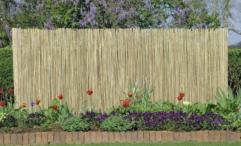 Creating Privacy with Fences, Trellises & Screens | Gardener's Supply