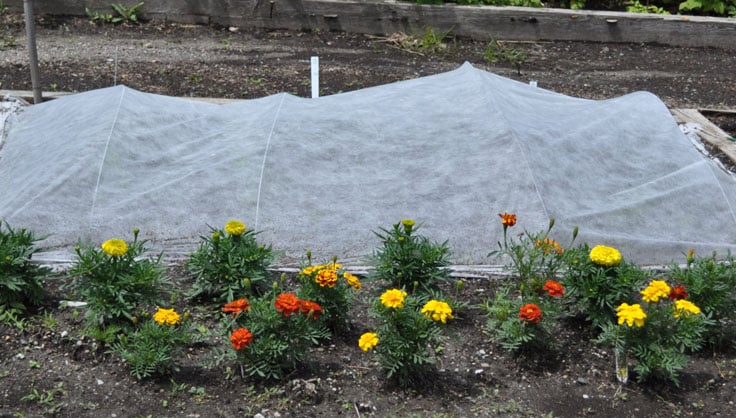 Garden Fabric, Row Covers, Shade Netting, Frost Covers | Gardeners.com