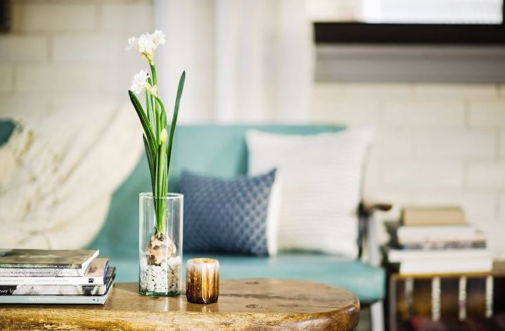 Keep Your 🌼 Paperwhite Narcissus Bulbs Blooming Indoors!