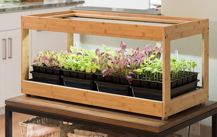 Growing Vegetables Indoors Under LED Grow Lights | Gardeners.com