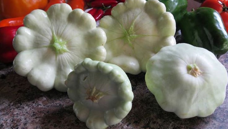 Pattypan Squash: Compact and Productive | Gardener's Supply