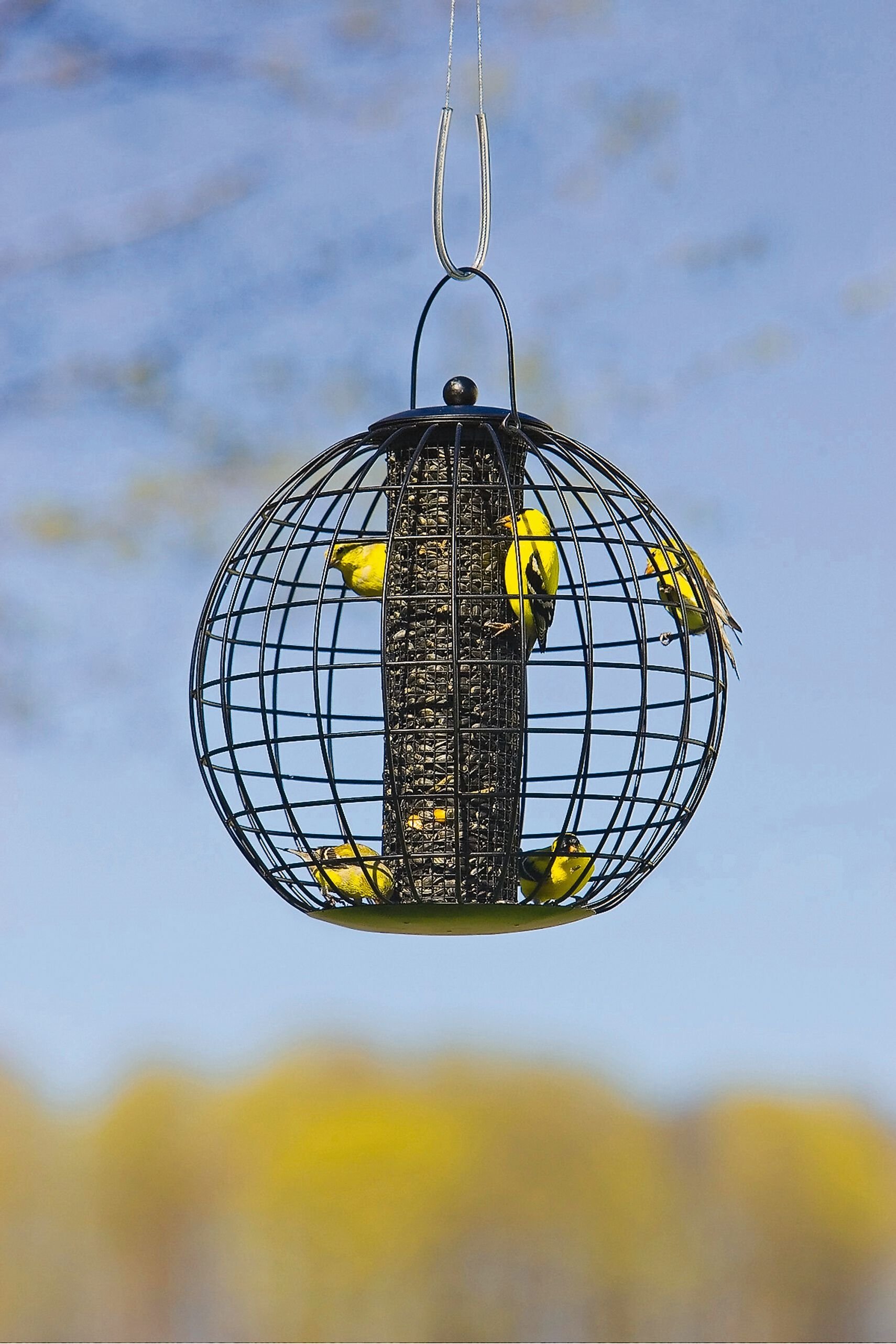 Globe Cage Bird Feeder | Gardeners.com