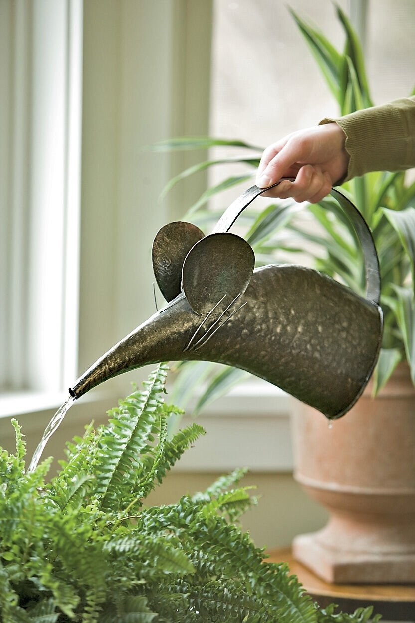 Metal Watering Can - Mouse Watering Can | Gardeners.com