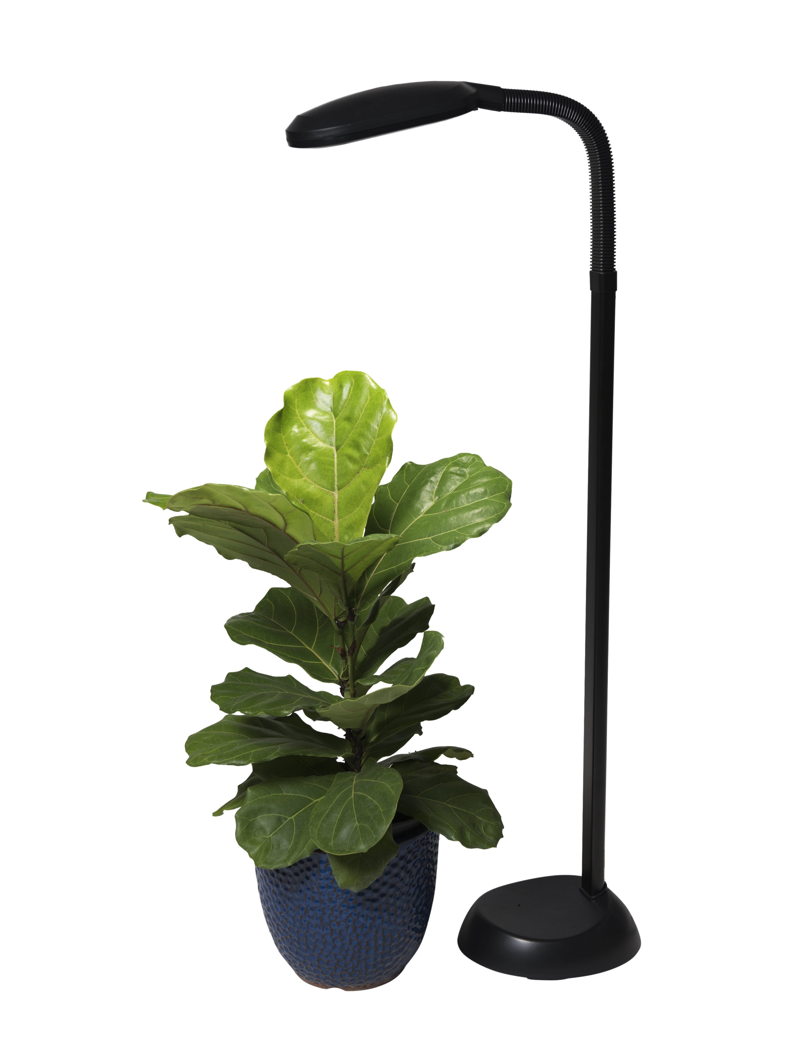 Floor Plant Lamp - Full Specrum CFL Grow Light | Free Shipping