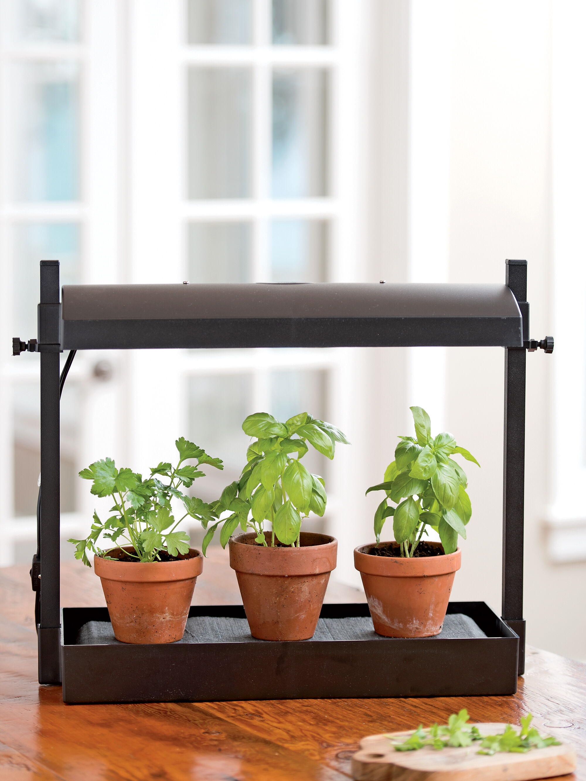 Micro Grow Light Garden - Indoor Herb Garden | Free Shipping