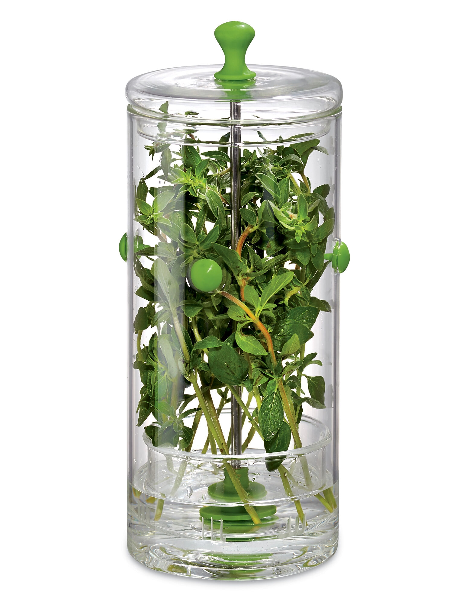 Glass Fresh Herb Keeper How to Store Fresh Herbs