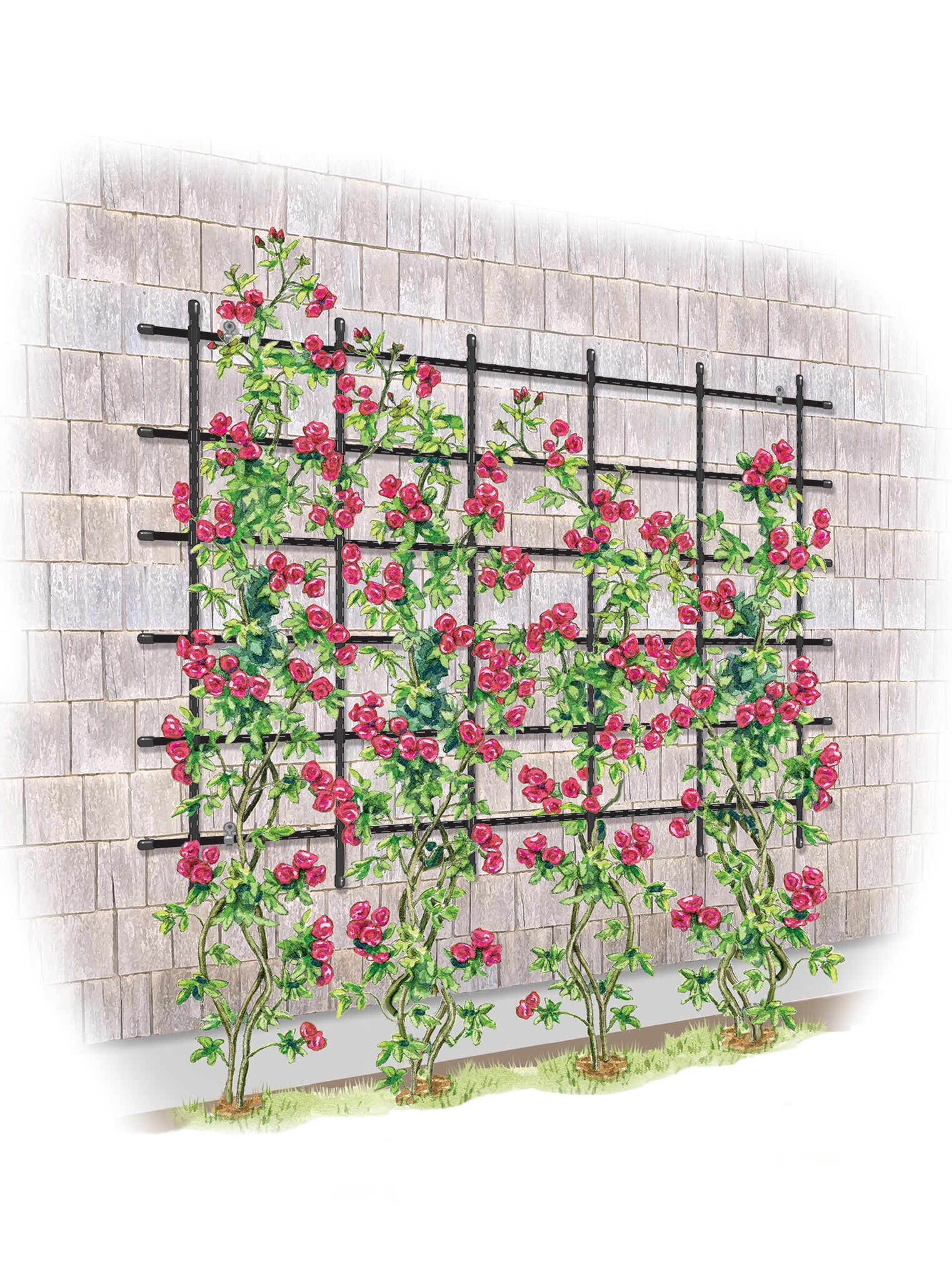 Titan Customizable Wall Trellis | Gardener's Supply