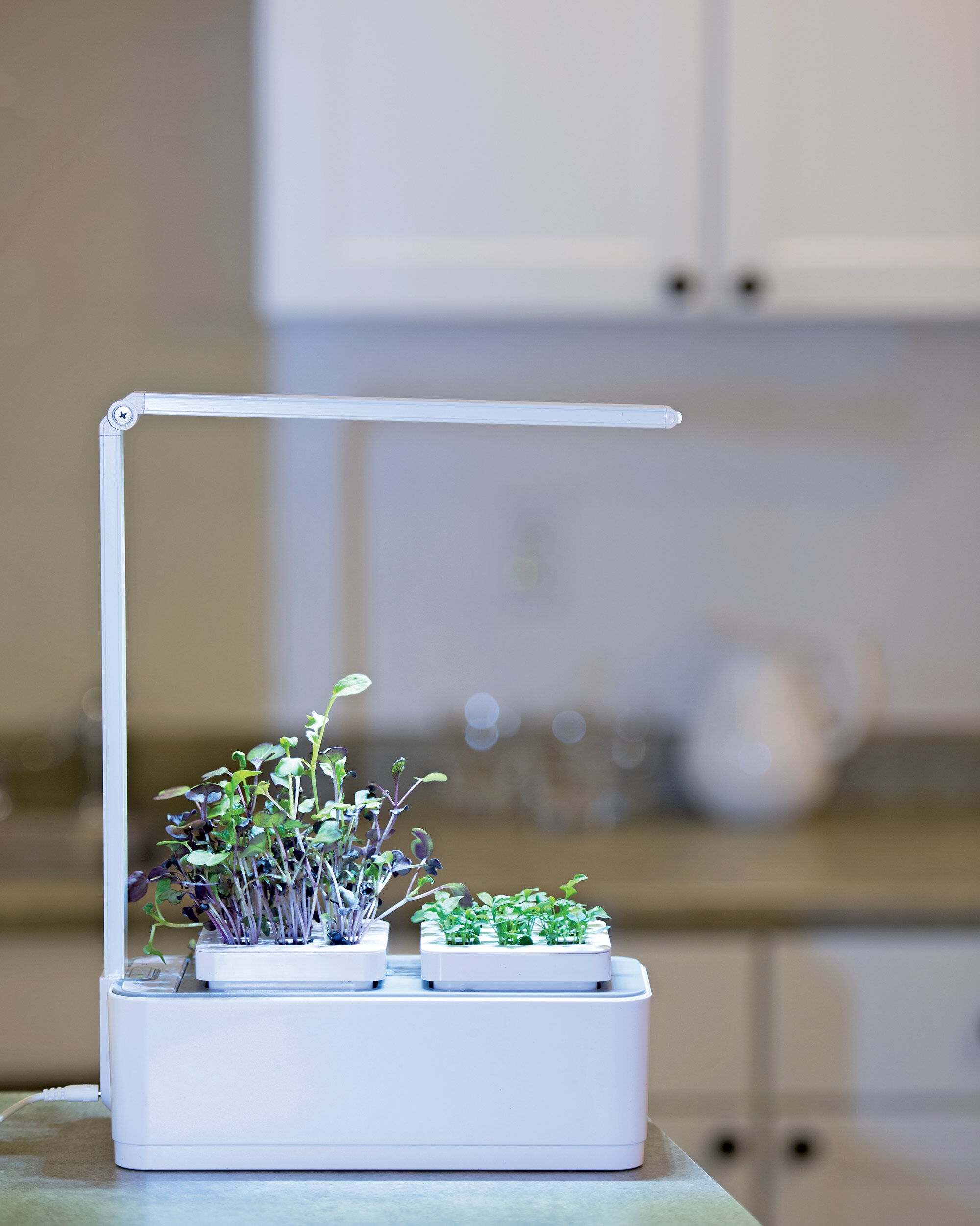 Microgreens Small Hydroponic Planter + LED Lights | Gardeners.com