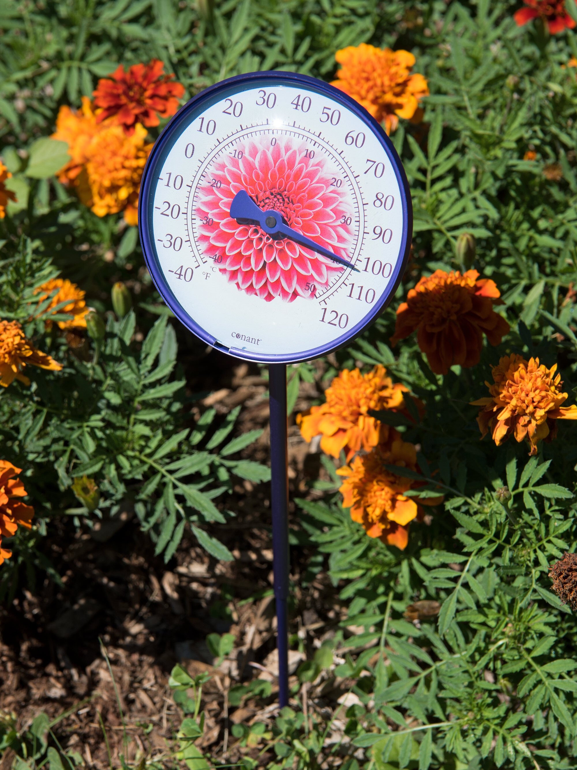 Weems and Plath Decorative Indoor Outdoor Thermometer