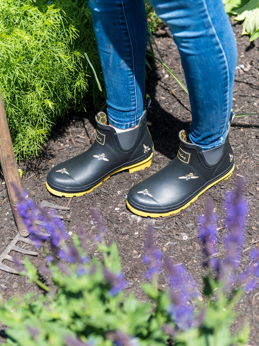 Women's Joules Short Rain and Gardening Ankle Boots | Gardeners.com