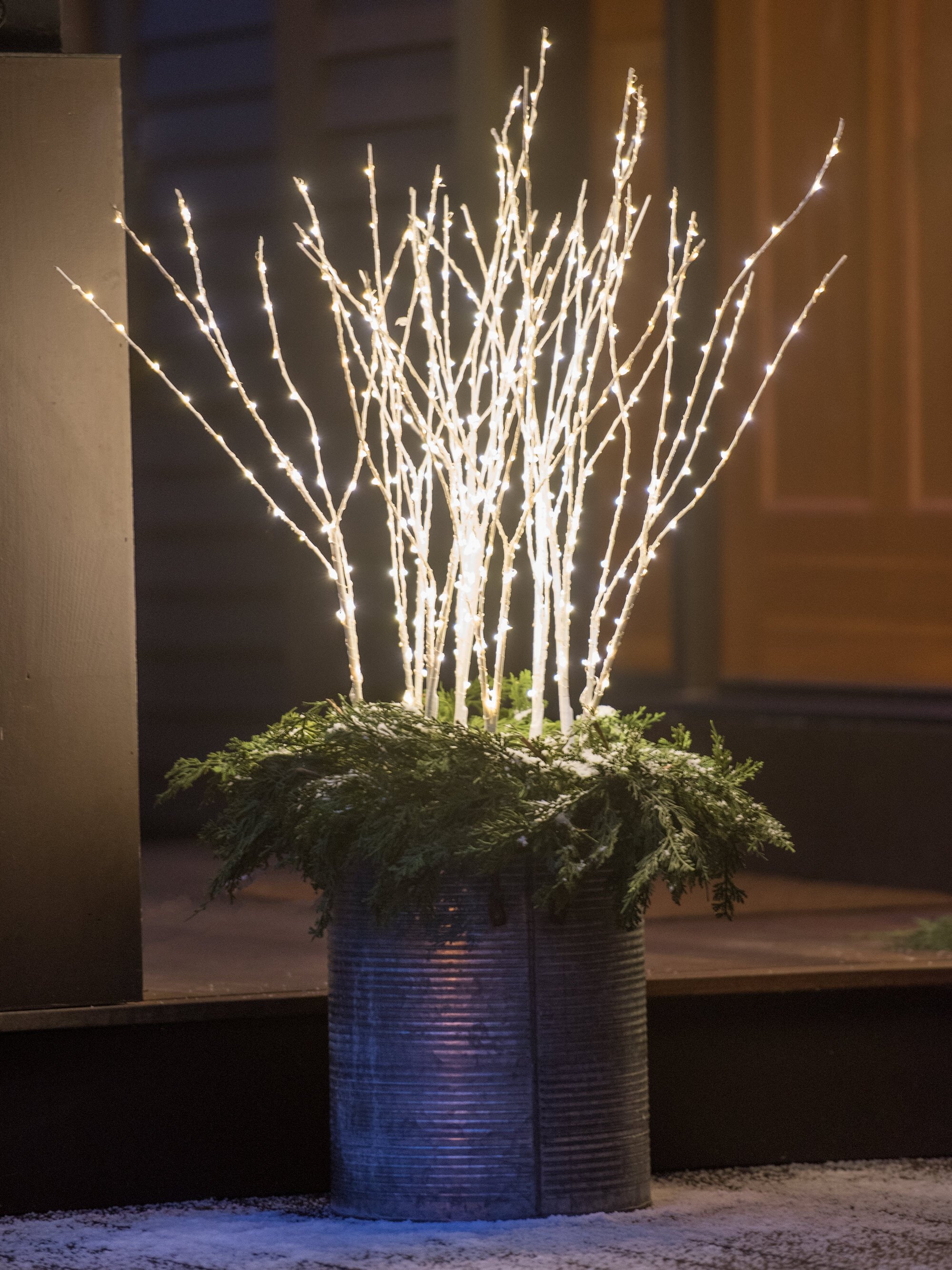 Birch LED Outdoor Branches - Lighted Sticks Decoration | Gardeners.com