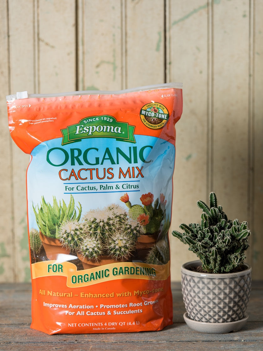 Espoma Succulent and Cactus Potting Mix 4 Qt | Gardener's Supply