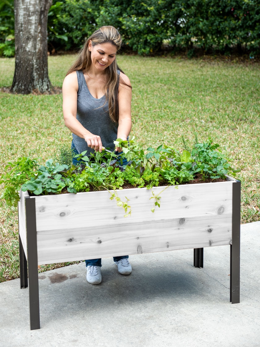 Self-Watering Elevated Cedar Planter Box Eco-Stain 2x4 | Gardeners.com